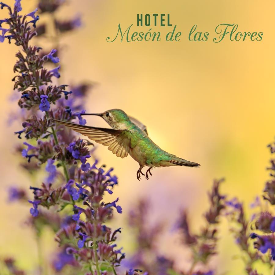Hotel Meson De Las Flores 亚美尼亚 外观 照片