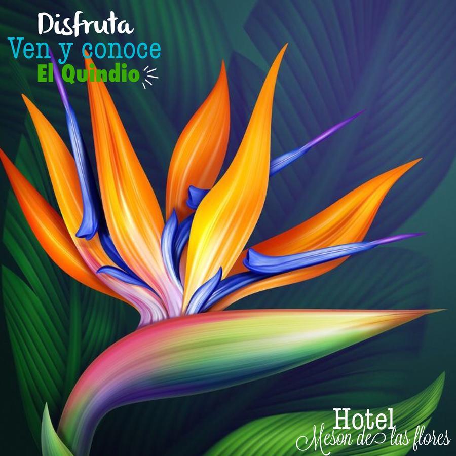 Hotel Meson De Las Flores 亚美尼亚 外观 照片